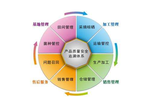 產品追溯係統有哪些公司，是怎樣開發係統的？