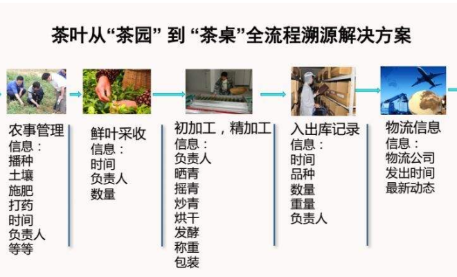 茶葉加工流程溯源係統解決方案